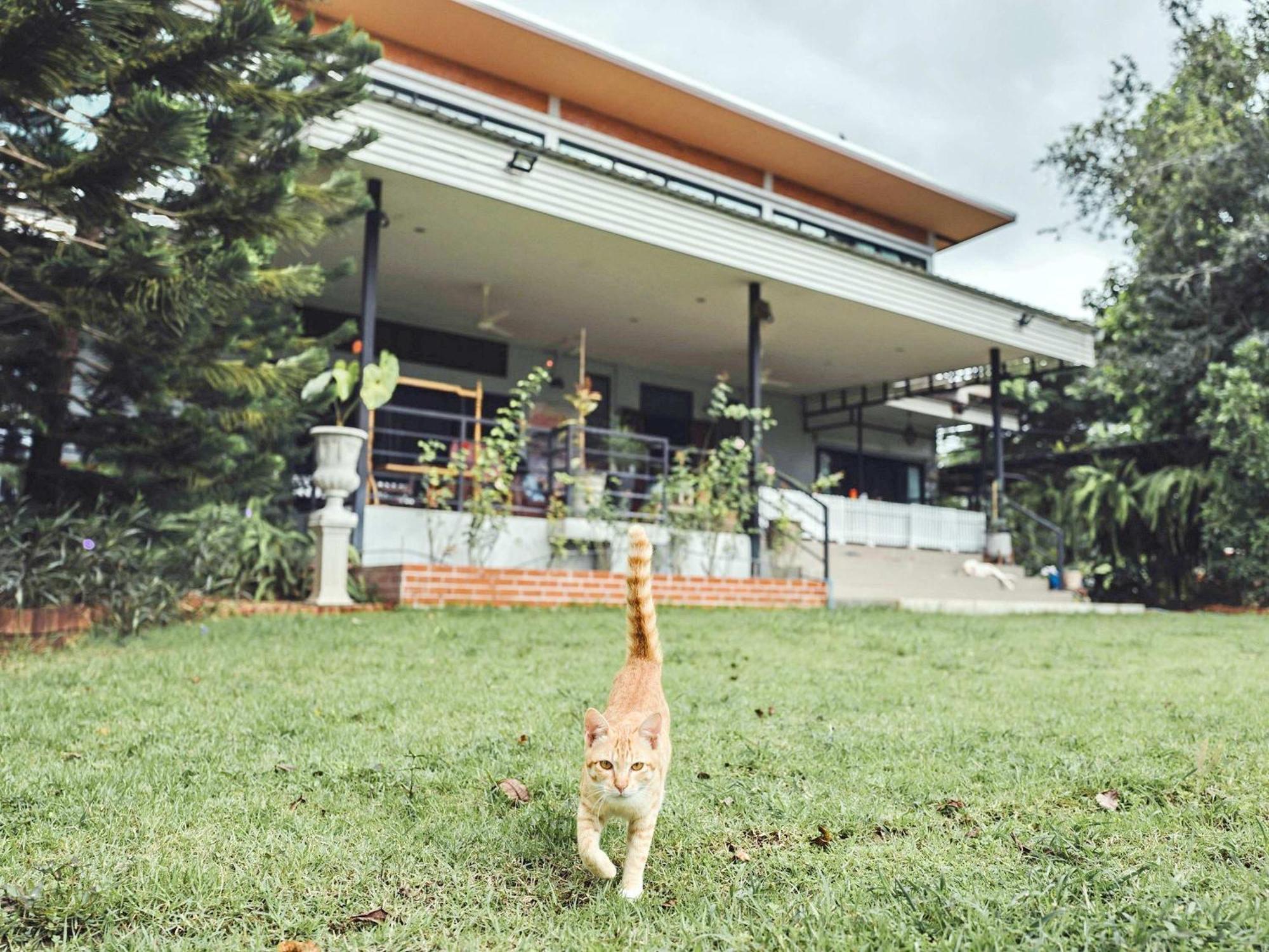 Tantai Eco Farm Stay At Khao Yai Ban Sap Noi Exterior foto